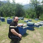 عسل شفا ( محلاتی نجفی )