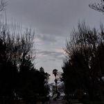 شهرداری کلاله