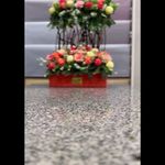 گلفروشی پالیز