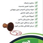 دکتر سیده فاطمه سیدی