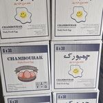شرکت اطلاع رسانی و رایانه ای رهام نت