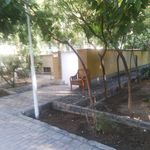سرویس بهداشتی