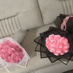 گل روبانی دریا