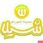 فست فود شیلا