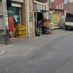 آب انبار درخت پیر