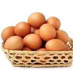 پخش تخم مرغ عالیقدری