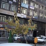 دکتر رویا پروانه تفرشی