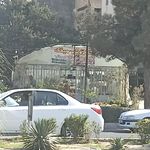 گل باکارا