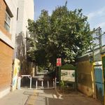 بوستان نیلوفر
