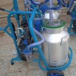 صبا شیردوش امینی