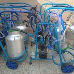 صبا شیردوش امینی