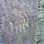 پارک جنگلی اراک