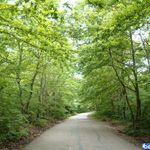 پارک جنگلی اراک