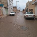 پاستوریزه