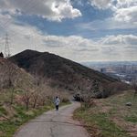 پارک