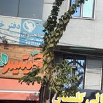 نمایندگی همراه اول صادقیه