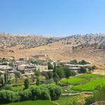 بوم‌گردی گلاره