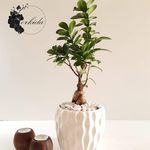 مرکز روانشناسی سلامت