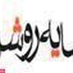 شرکت سایه روشن