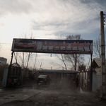 کارواش بشردوست