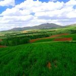 روستای کوشکی سفلی