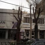 دکتر باقر توسلیان
