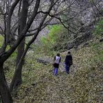 روستای واریان