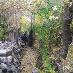 روستای واریان