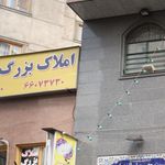 املاک بزرگ زیتون