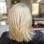 رنگ و لایت ژیلا امیری