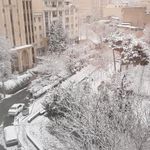 بوستان باغ نظر