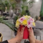 مجتمع گل و گیاه گلزار بهاره