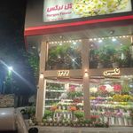 گل نرگس