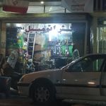 تشخیص رنگ و کارشناسی اتومبیل قاسمی
