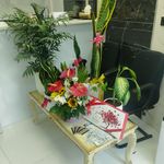 گالری سکه عزیز