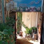 گلاب و عرقیجات محلوجی و پسران