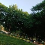 بوستان خدمت