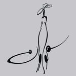 شرکت پخش مانتو نوآوران