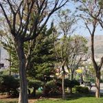 سرویس بهداشتی بوستان آزادگان