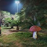 فضای سبز