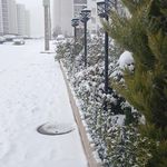 هسا فاز ۹