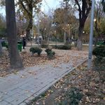 سرویس بهداشتی بوستان هفت چنار