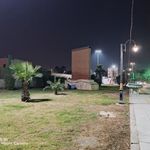 فضای سبز