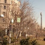 سازمان بازنشستگی شهرداری تهران