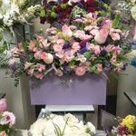 گل فروشی آندیا (شعبه یک)