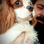 آموزش و تربیت سگ نوری