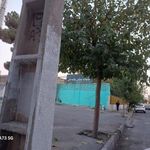 کتابخانه عمومی علامه حلی