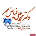 دکتر محمد علی فیاض مهر