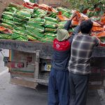 شرکت کشاورزی کاتوزا