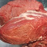 ایلیا پروتئین